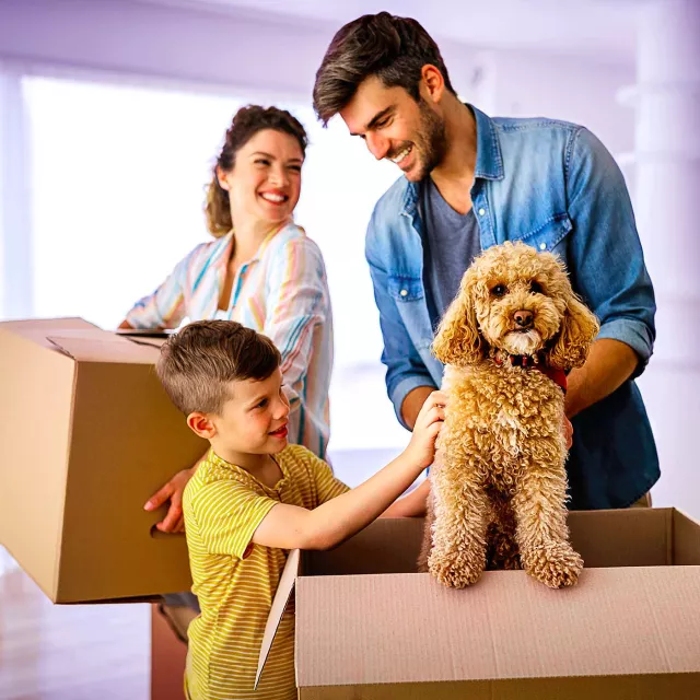 Image of family and a dog with boxes
