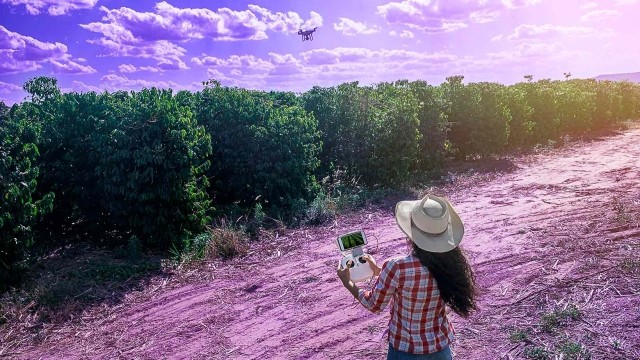 Image of woman flying a drone on a field