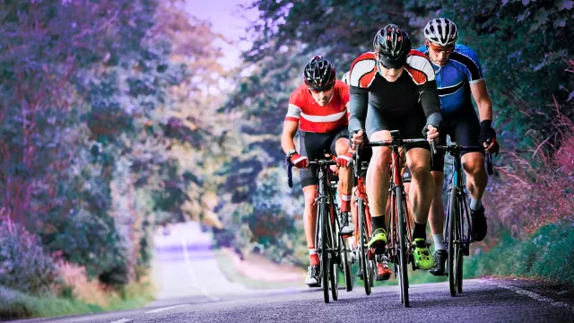 Four cyclists on a road surrounded by vegetation