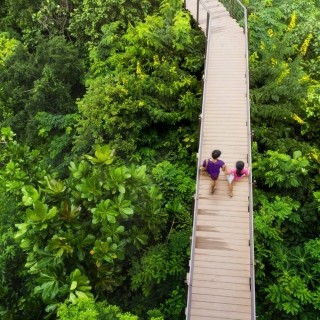 Carbon Footprint Reduction Image