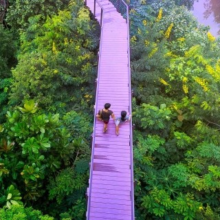 Image of two persons walking on a bridge over green trees while holding hands