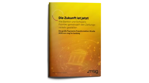 Image of magazine with cover of "How banks and software providers are shaping payment transactions together (German)" report