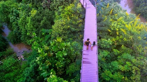 Image of two persons walking on a bridge in the forest