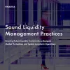 Image of laptop with cover slide for the "Sound liquidity management practices" white paper